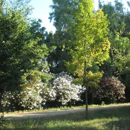 La Casa Di Valeria Guest house 3*